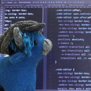 web design in dundee