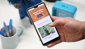 scotland dundee web design