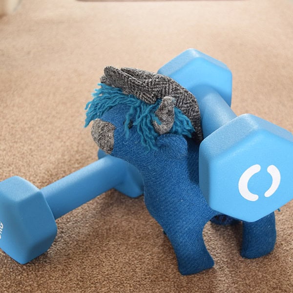 bluecoo creative lockdown update