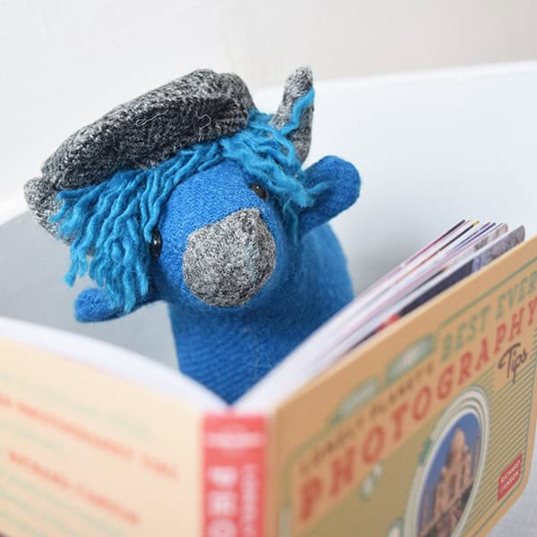 lockdown update bluecoo