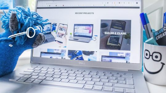 BlueCoo Website Design Perth Portfolio