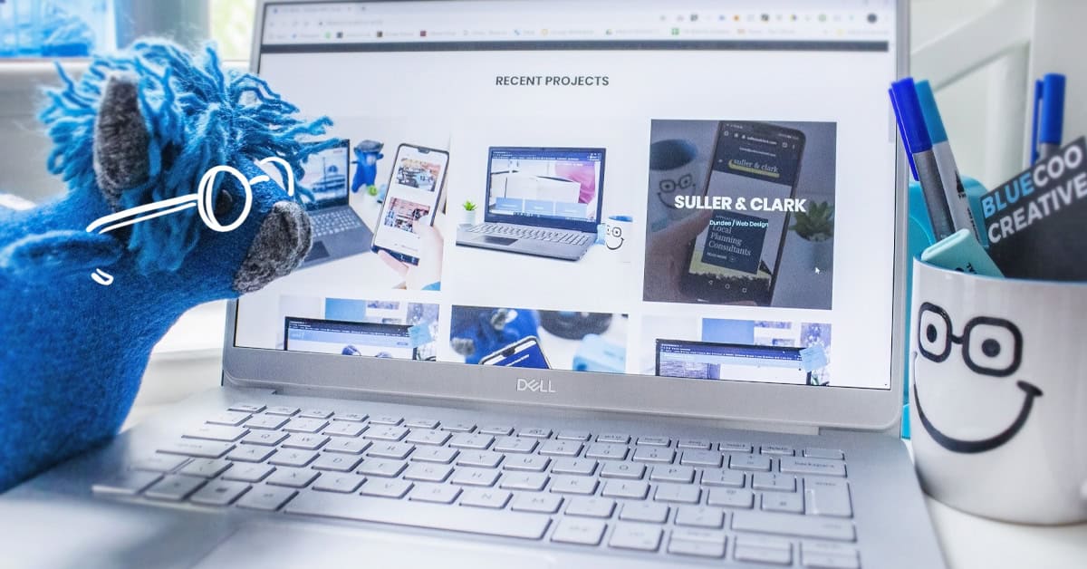 BlueCoo Website Design Perth Portfolio
