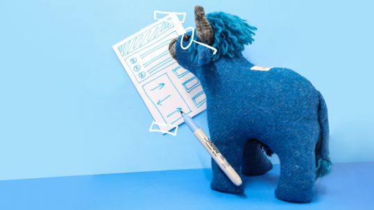 website design dundee bluecoo