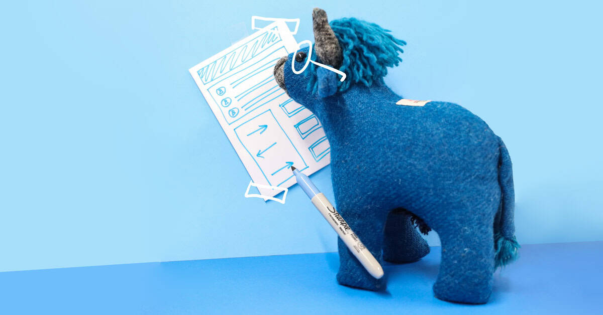 website design dundee bluecoo