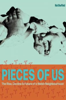 Pieces of Us by Rob Sheffield