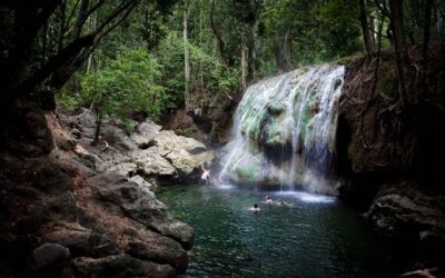 Guatemala’s Beautiful Rio Dulce and Lake Izabal