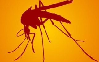 West Nile Virus