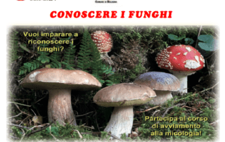 corso funghi FB