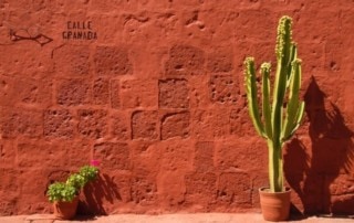 foto circolo fotografico petroniano Avis