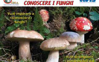 corso micologi 2018