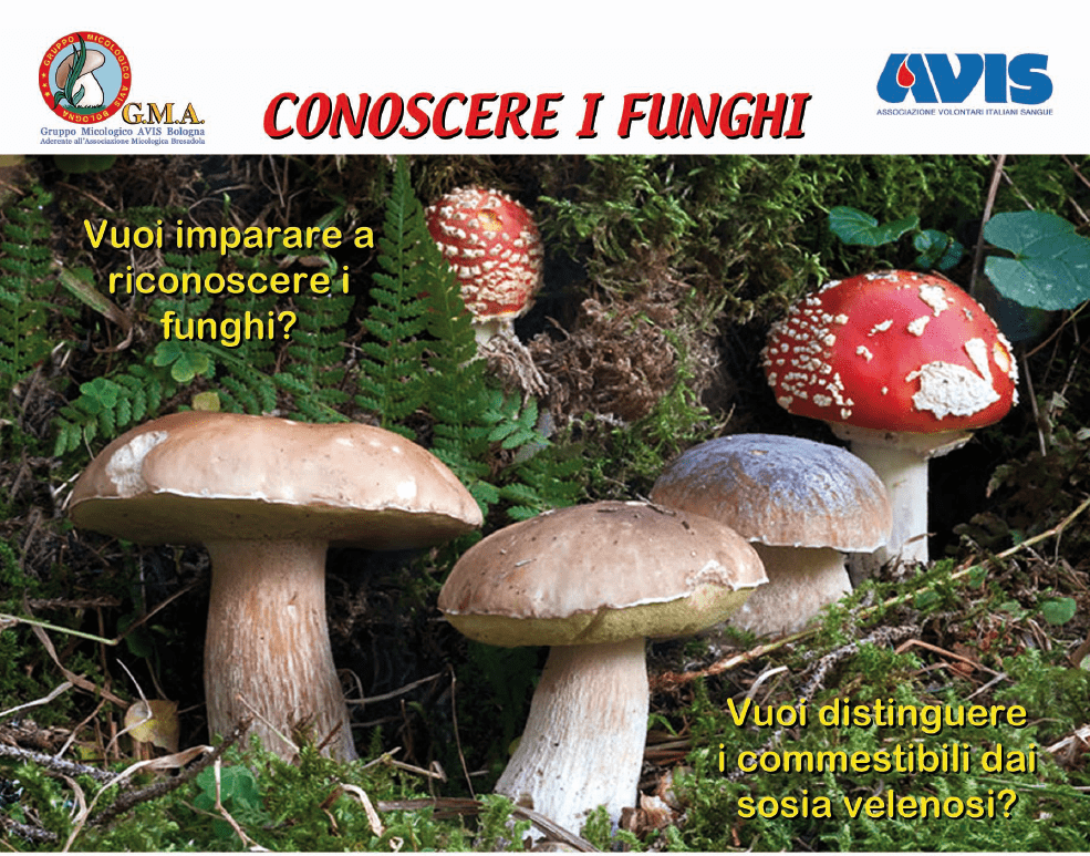 corso micologi 2018