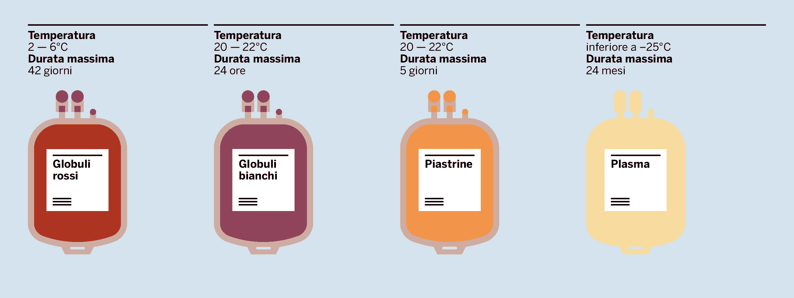 AVIS-Il-sangue
