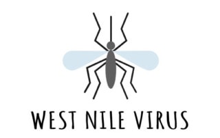 WEST-NILE-VIRUS AVIS BOLOGNA