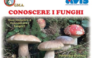 corso funghi avis bologna