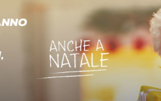 GIALLO PLASMA AVIS NATALE