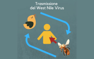 wnv-avis