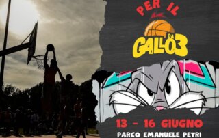 AVIS PER IL GALLO DA 3