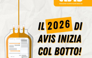 2026 botto imm evidenza sito