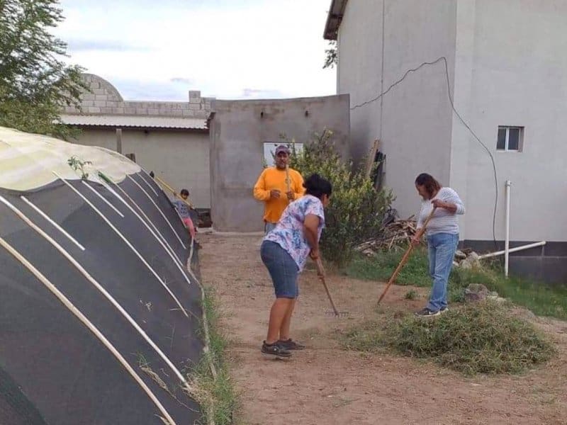 Community garden.