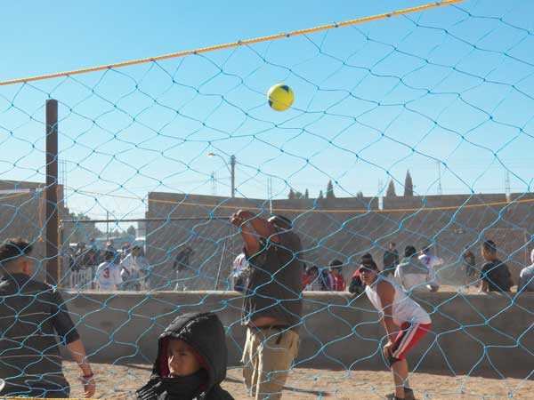 2 courts of action