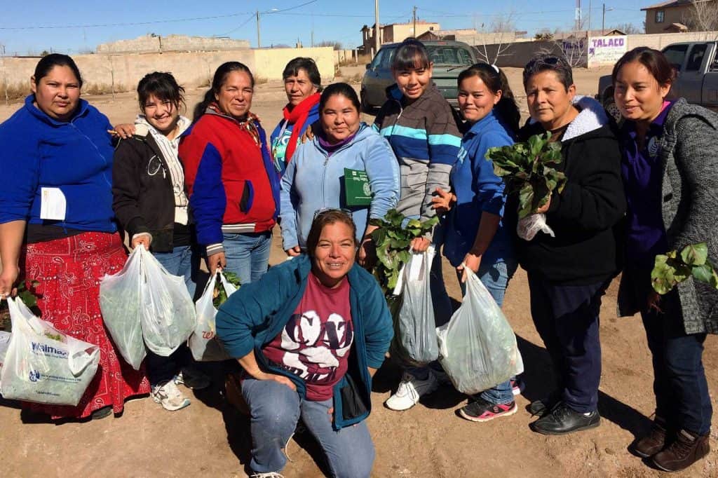 garden harvesters