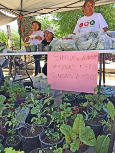 earth day 2017