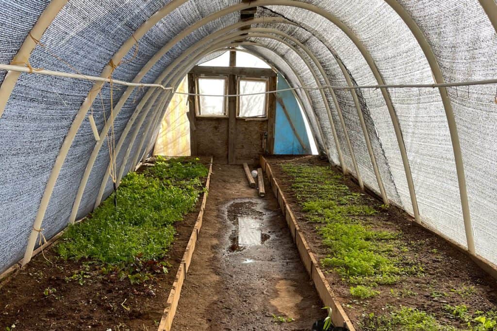 greenhouse irrigation system