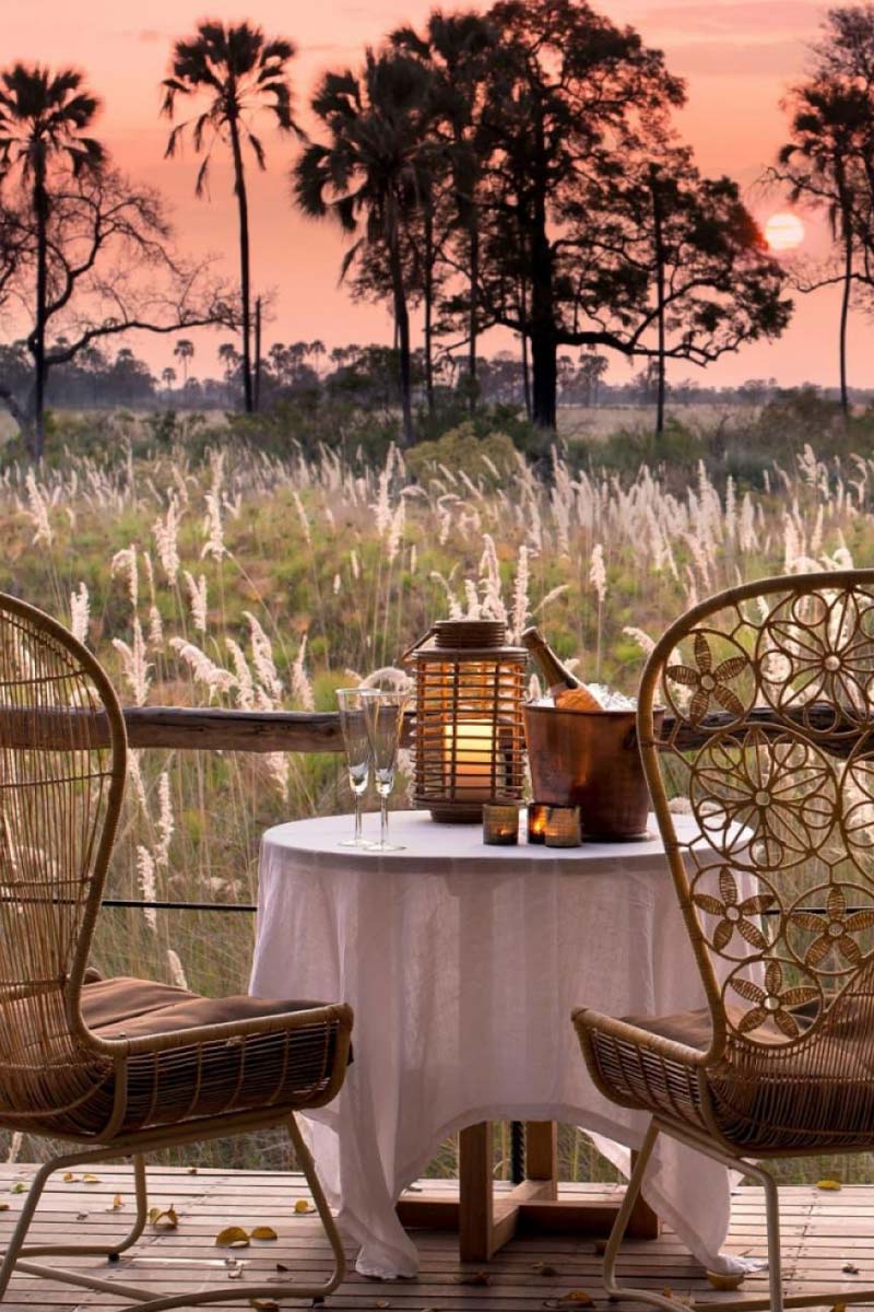 Honeymoon dinner is safari