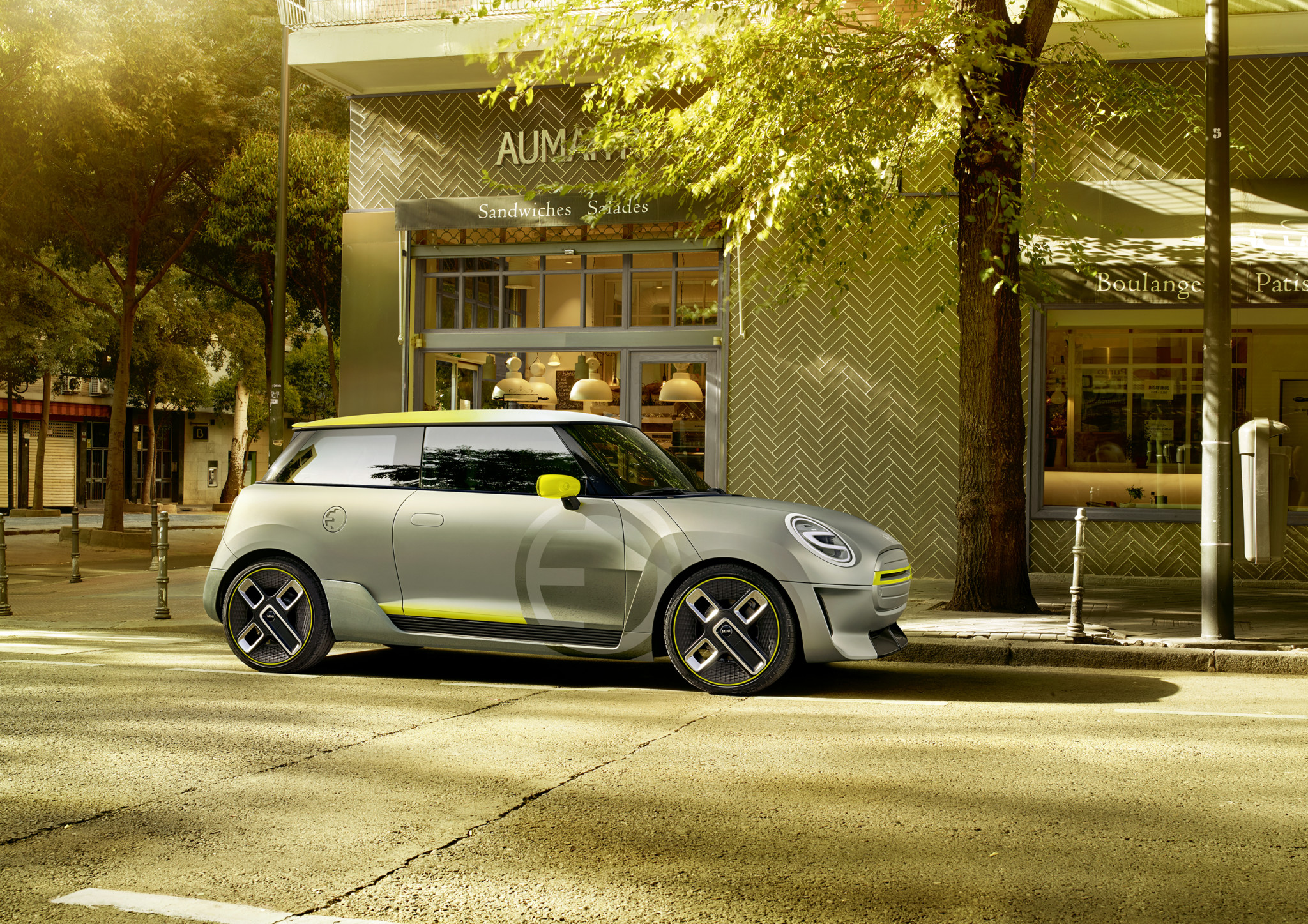 MINI electric