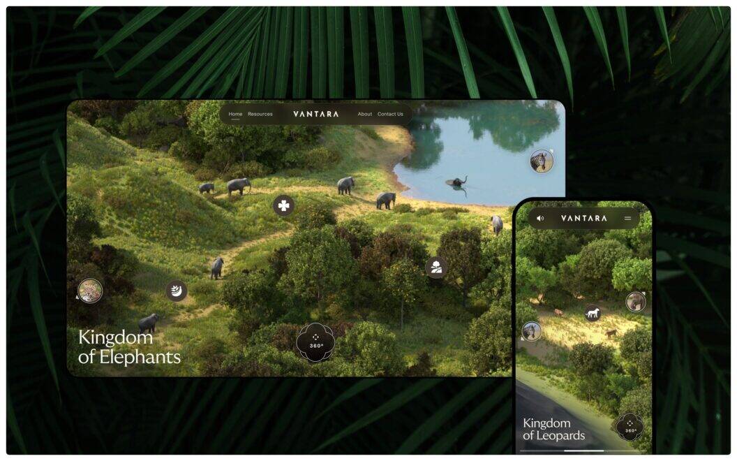 Clay's Vantara Web Design, Turning Conservation into Immersive Digital Experiences