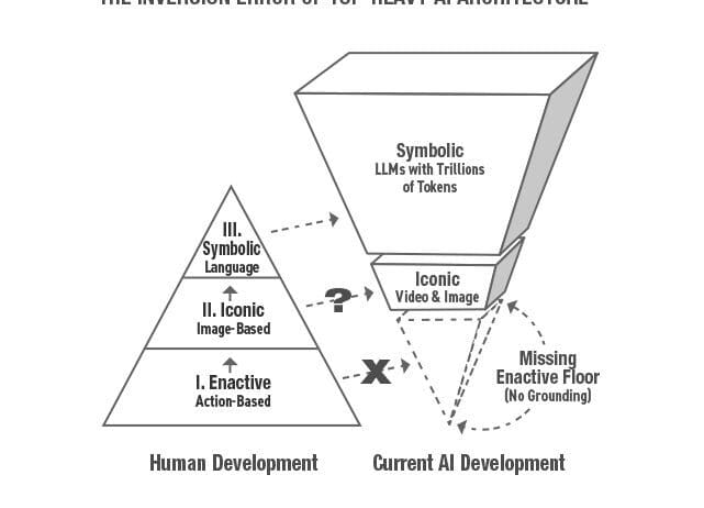How enactive grounding, and reversible state-space dynamics ensure AGI safety