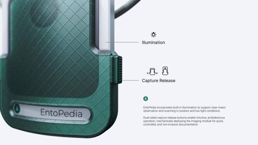 Nature-Inspired Wearable Design, Adaptive Fit, Sustainable Materials for Everyday Life