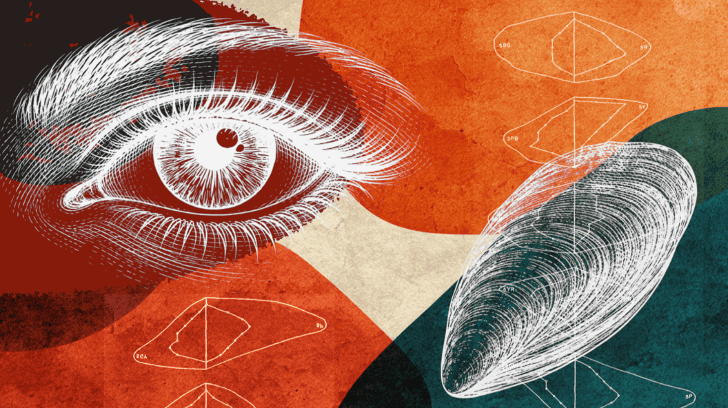 The Color Metric Flawed for 80 Years, The Surprising Impact on Design and Science