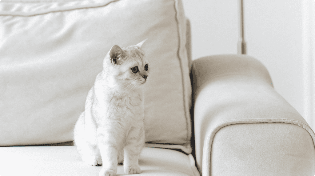 Care-First Design, why human-centered products outperform growth-first strategies
