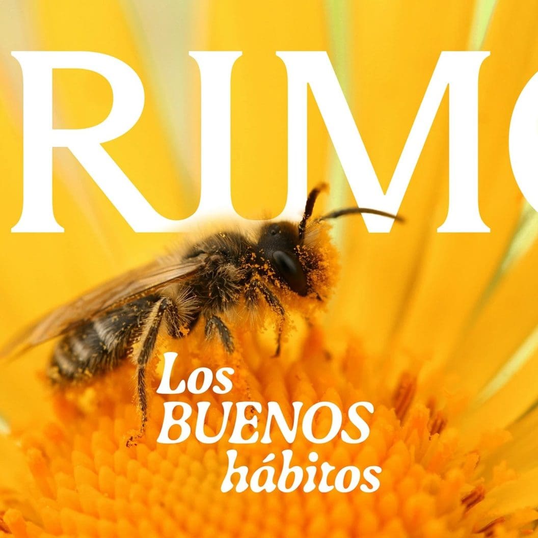 Primo Honey Packaging, Distinctive Artisanal Identity by Brandsummit Studio