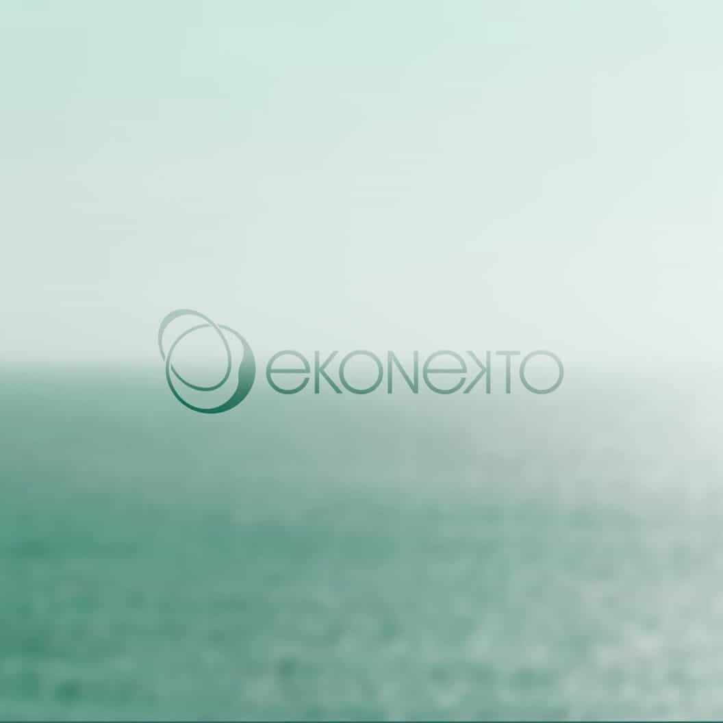 Ekonekto Visual Identity, Strategic Brand System by Pablo Pelaez Gallego