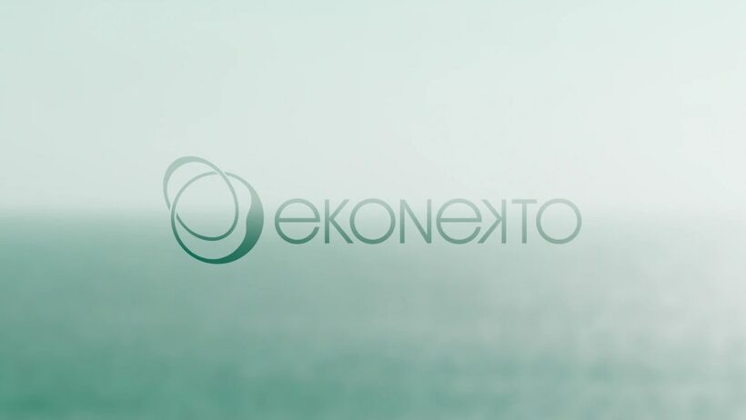 Ekonekto Visual Identity, Strategic Brand System by Pablo Pelaez Gallego