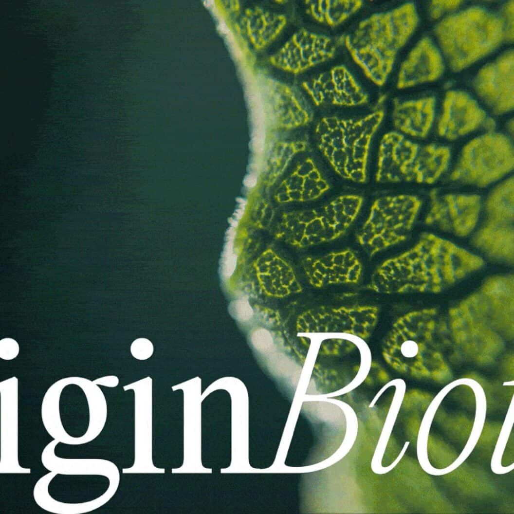 Inside Originbiotics Packaging, Maja Regula's Bold Wellness Rebrand