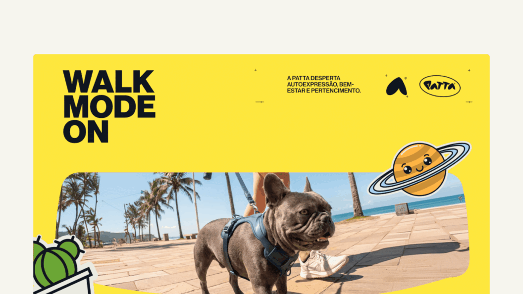 Patta Visual Identity Playbook, Expertly Curated Expressive Branding System