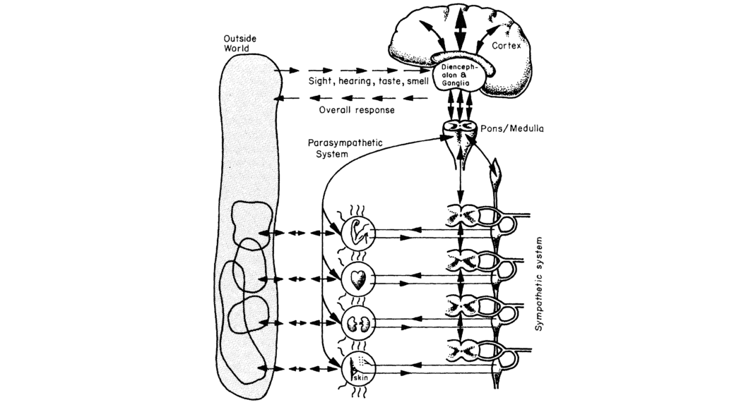 The Cybernetic Application, How Intelligent Interfaces Blend Human Intuition With Machine Power