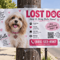 Lost dog or lost designer, the hilarious identity mix-up that changed a life