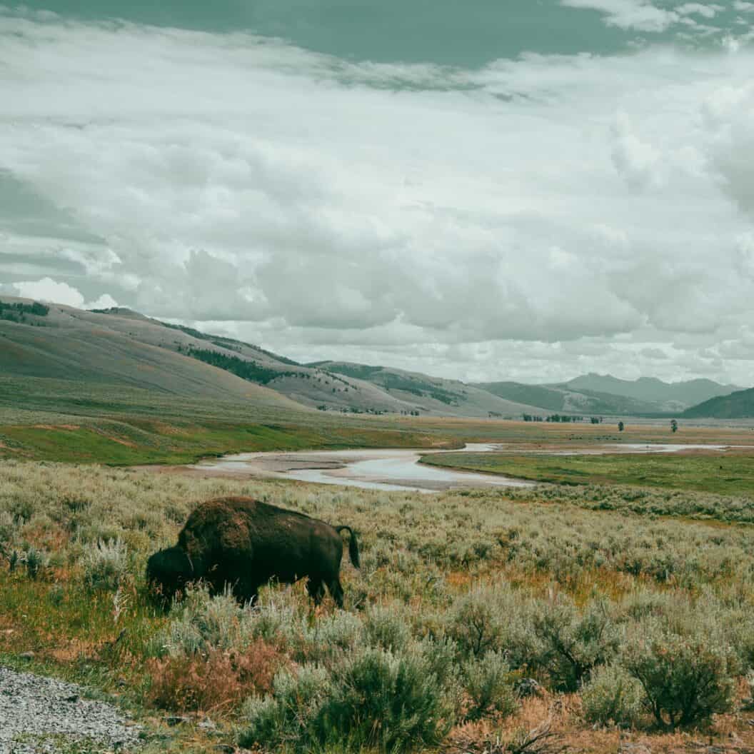 San Francisco to Yellowstone, Iconic Photo Road Trip Through Cityscapes, Coastlines and Geysers