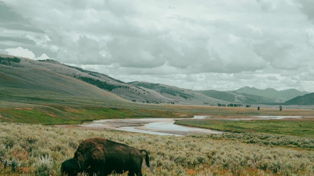 San Francisco to Yellowstone, Iconic Photo Road Trip Through Cityscapes, Coastlines and Geysers