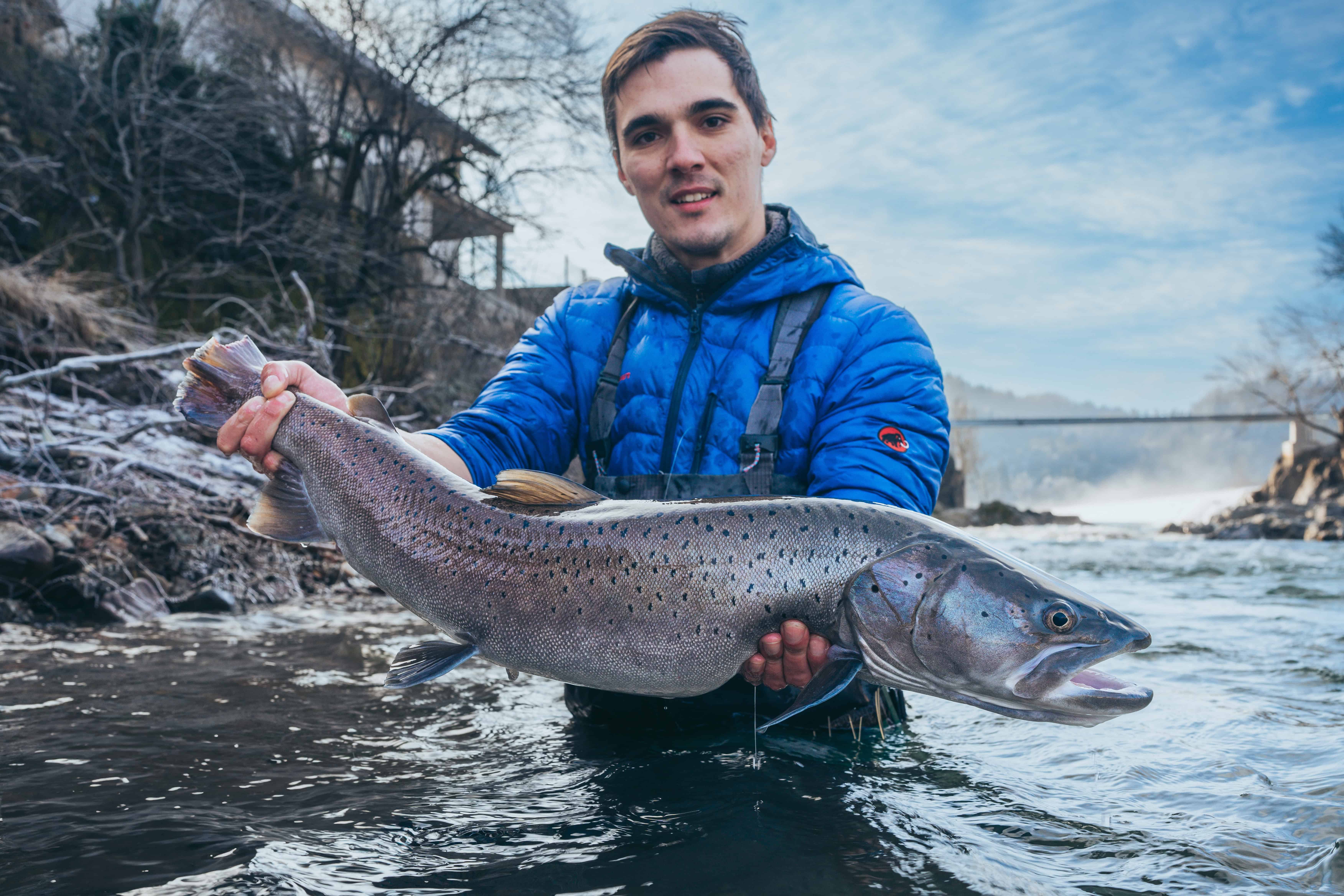 hucho hucho fishing