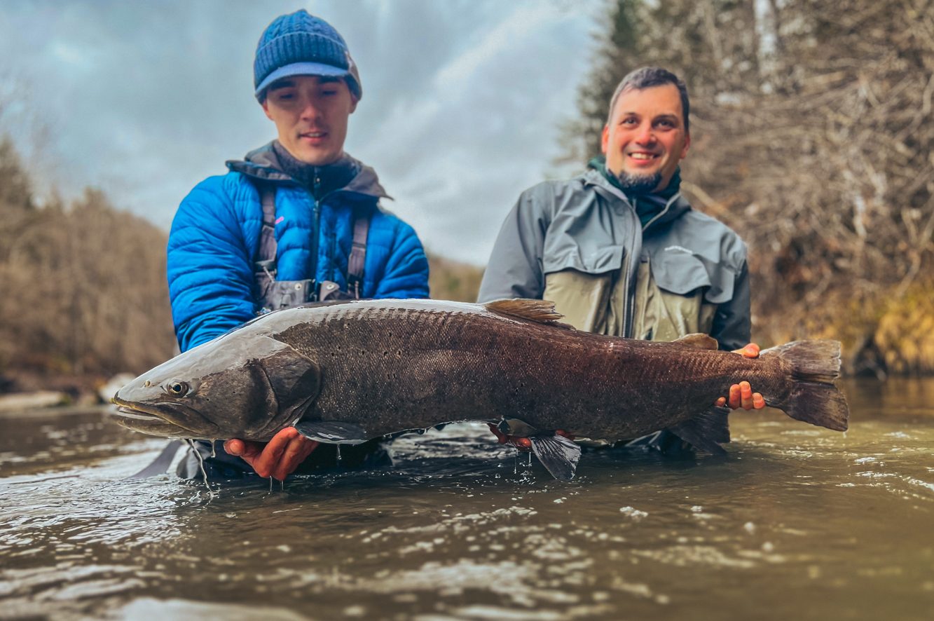 huchen fishing in slovenia