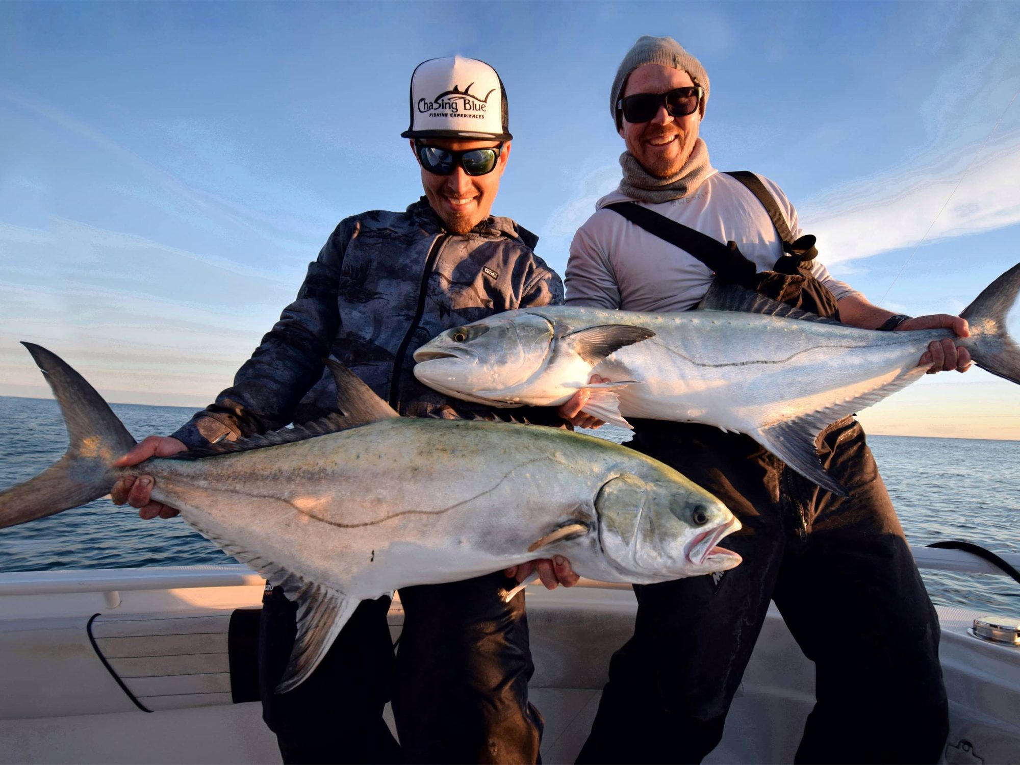 leerfish caught in the ebro delta of spain