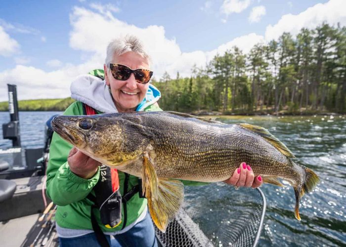 Huge walleye caught at hawk lake lodge in canada
