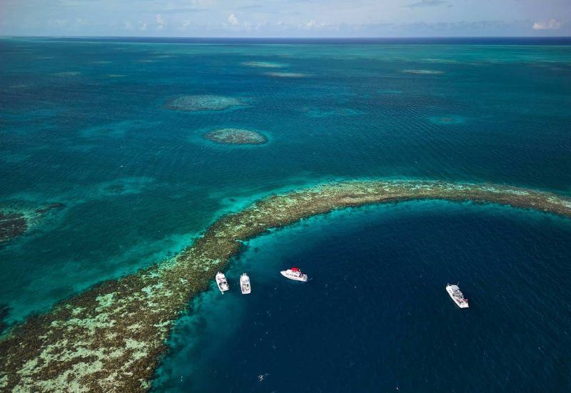 Belize Fishing Guide