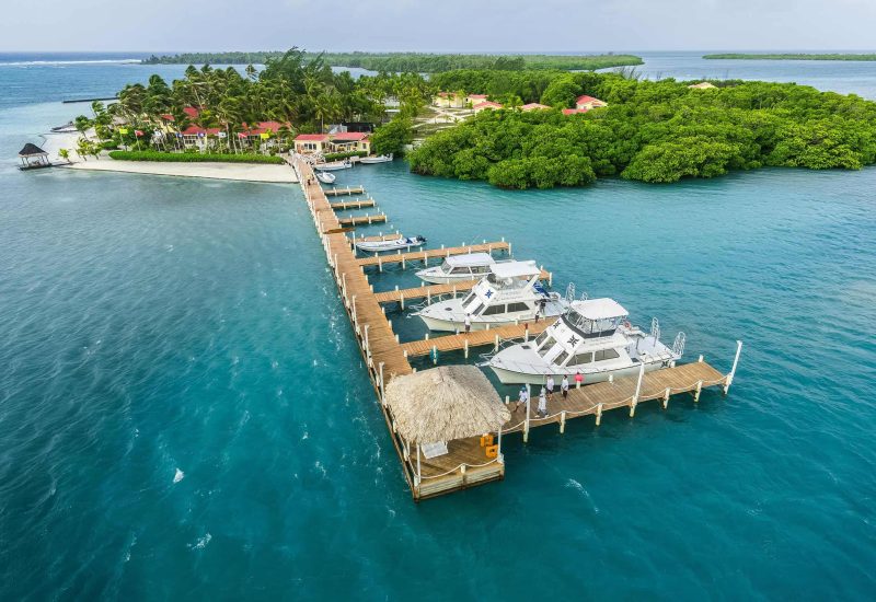 Fly Fishing Belize