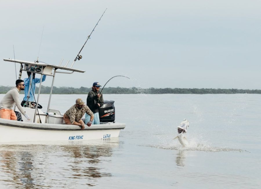 Best Tarpon Fishing Trips in Costa Rica